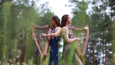 两个女<strong>竖</strong>琴手站在森林里，在松树的<strong>背景</strong>上弹奏<strong>竖</strong>琴。